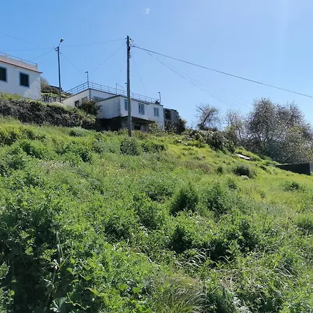 Ocean Appartement Bicas