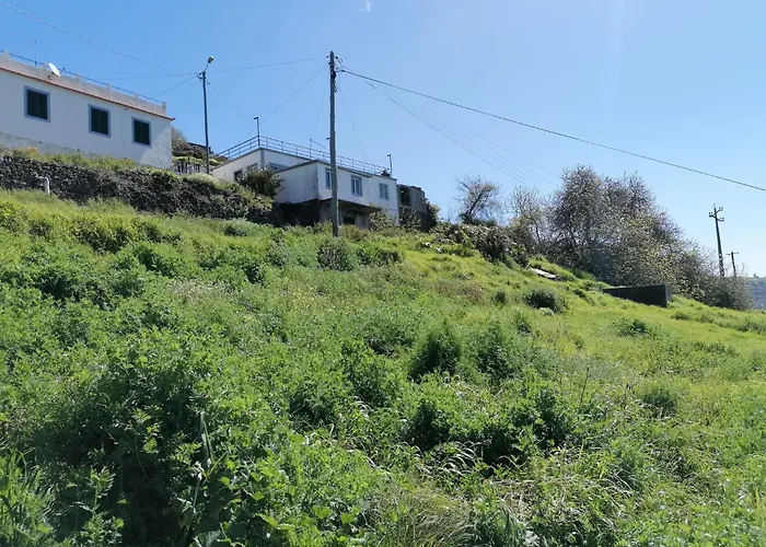 Ocean Apartman Bicas